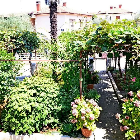 Angela Apartmán Umag